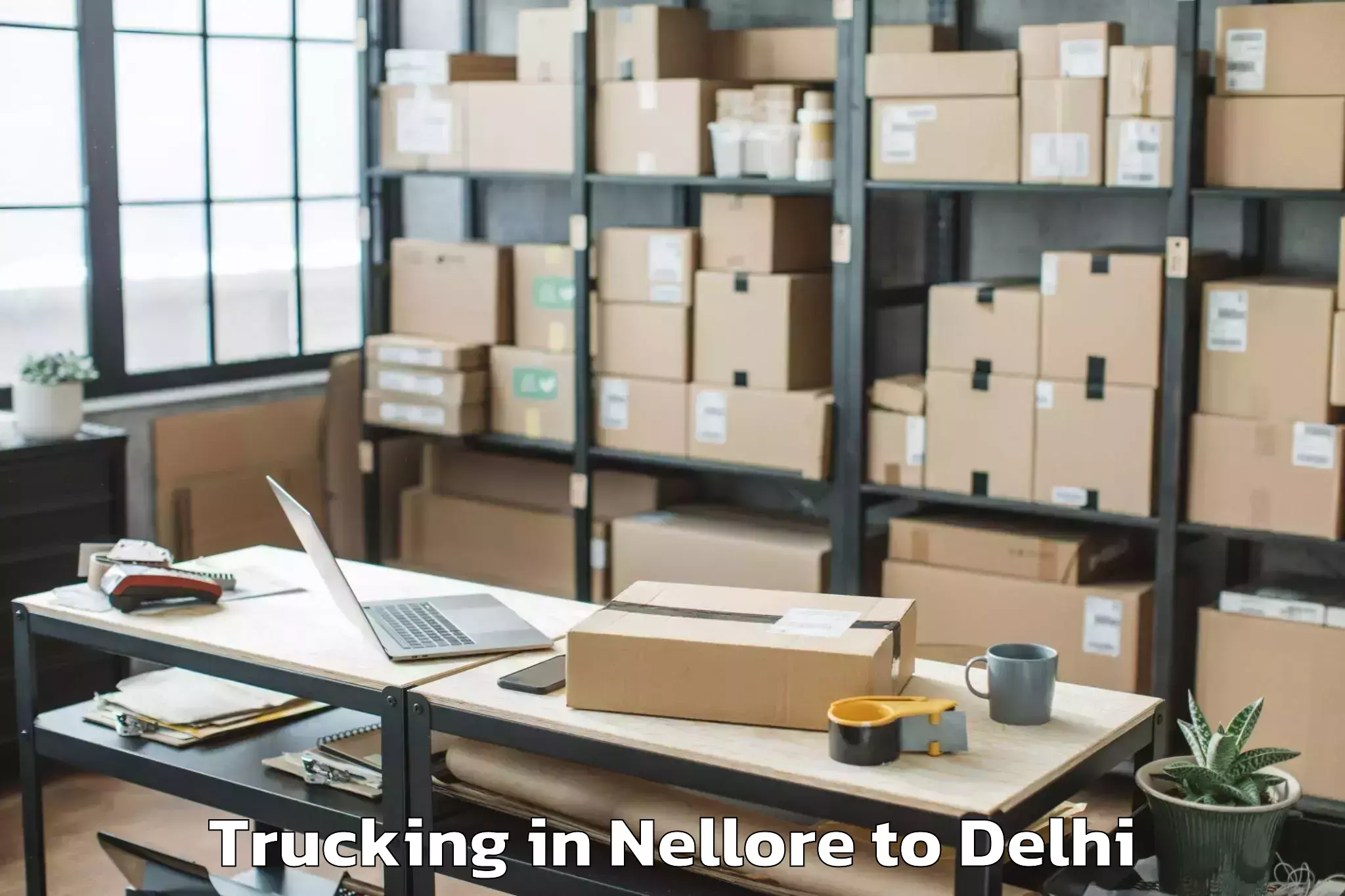 Top Nellore to Badarpur Trucking Available